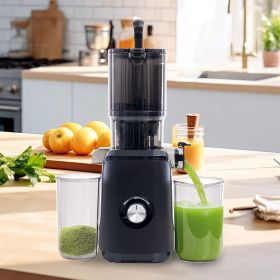 Cold juicer, chewable juicer, wide feeding trough for easy cleaning, suitable for whole vegetables and fruits (Color: BLACK)
